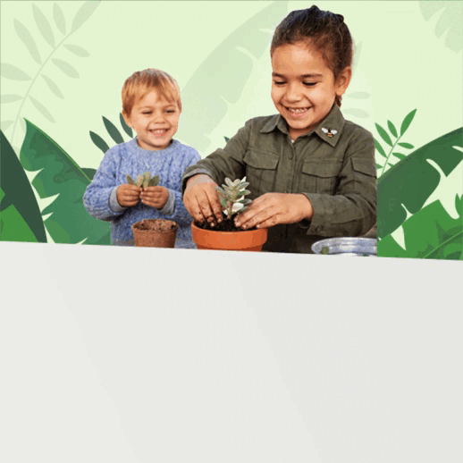 MEDIOAMBIENTE